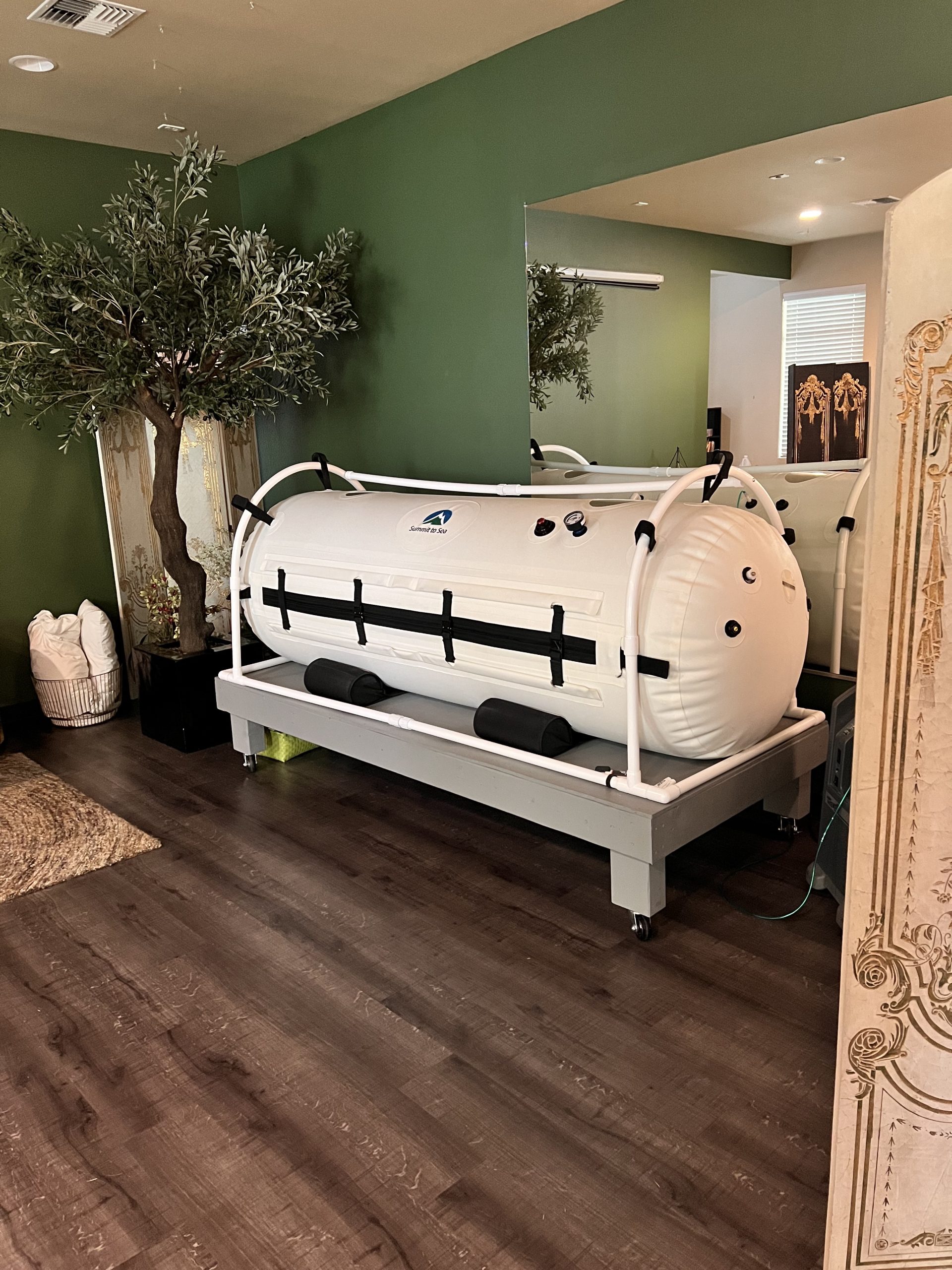 Emily Crockett standing in front of the hyperbaric oxygen therapy module at Nearing Total Health